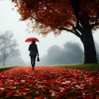 Person with red umbrella walks on autumn path in misty park