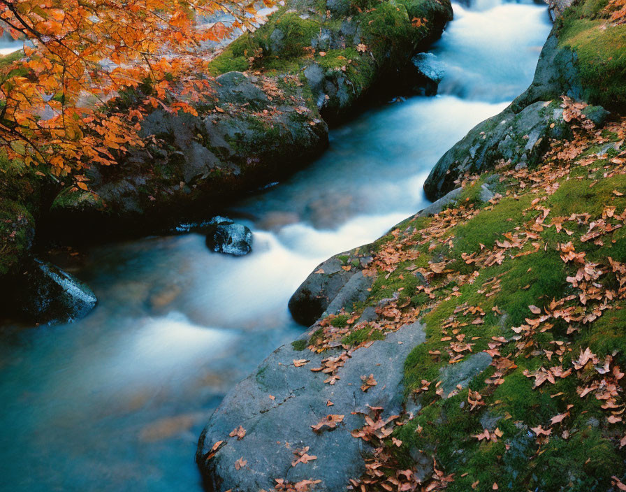 Tranquil stream among moss-covered rocks and autumn leaves