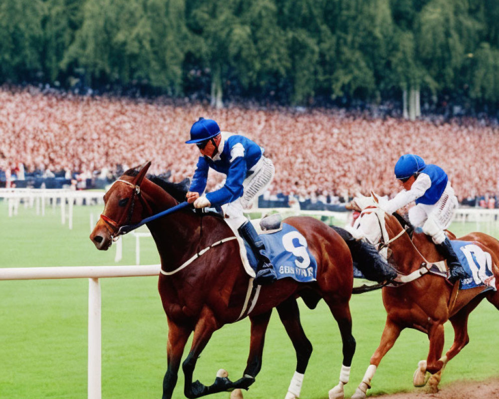 Two jockeys in blue silks on thoroughbreds racing on a dirt track.