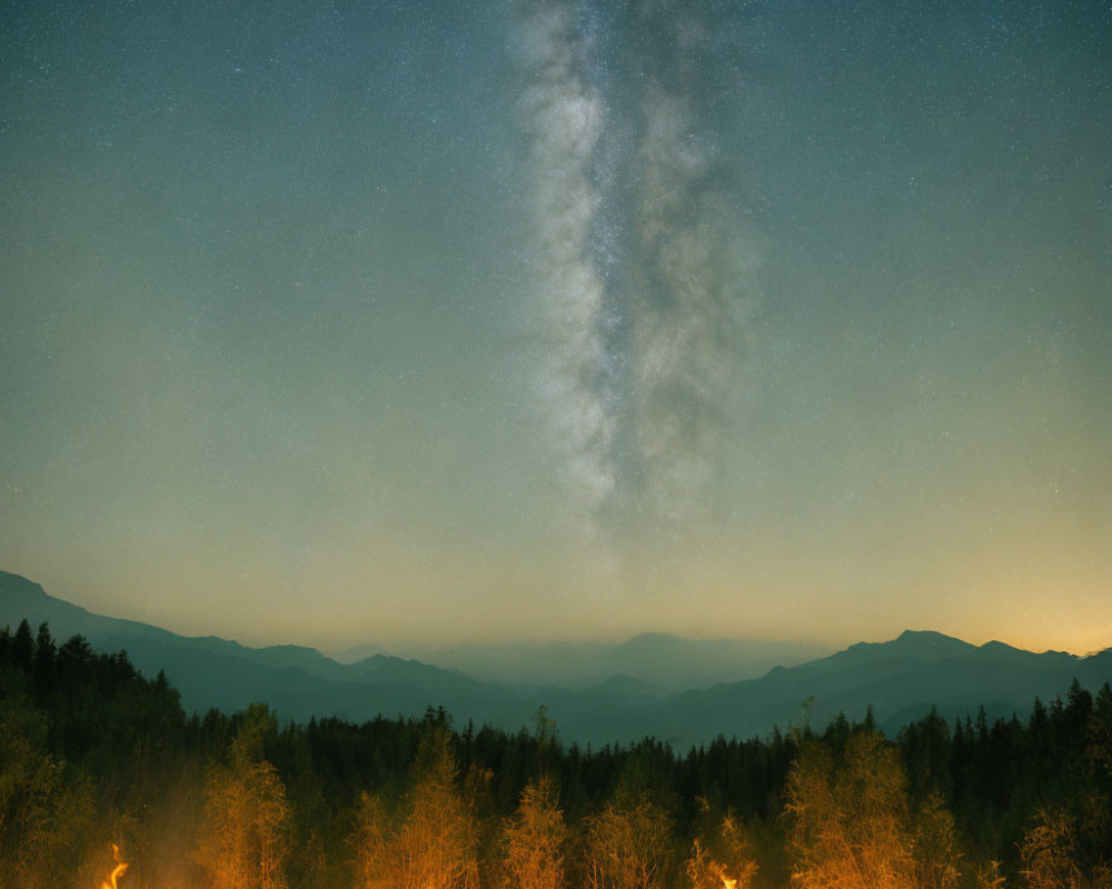 Forest Silhouette Night Scene with Milky Way and Bonfire