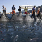 Fishermen in Boats with Large Catch of Realistic Tuna Illustrations