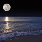 Stylized night landscape with full moon, rounded foliage, and moonlit water.