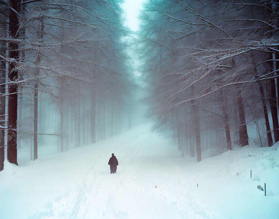 Snowy path with a lone wanderer