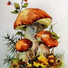 Colorful Watercolor Painting of Mushrooms and Foliage