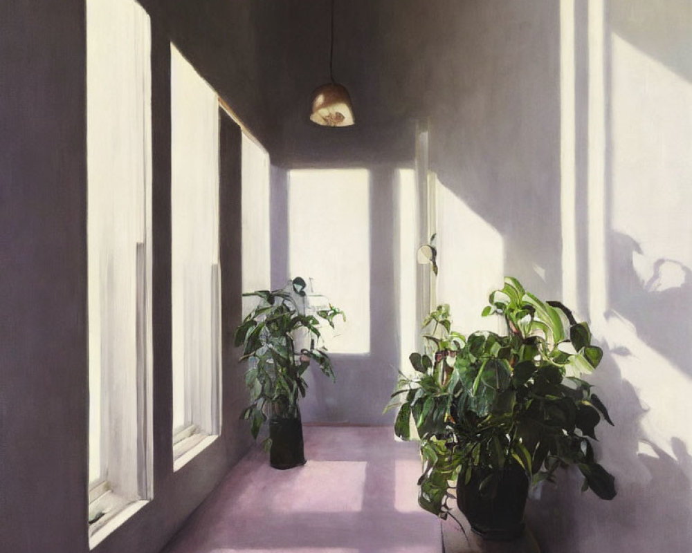 Sunlit indoor passage with shadows and green plants