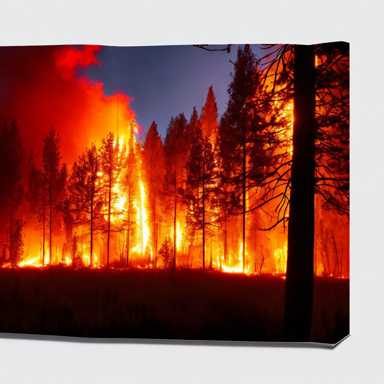 Canvas Print of Fierce Forest Fire with Vibrant Flames