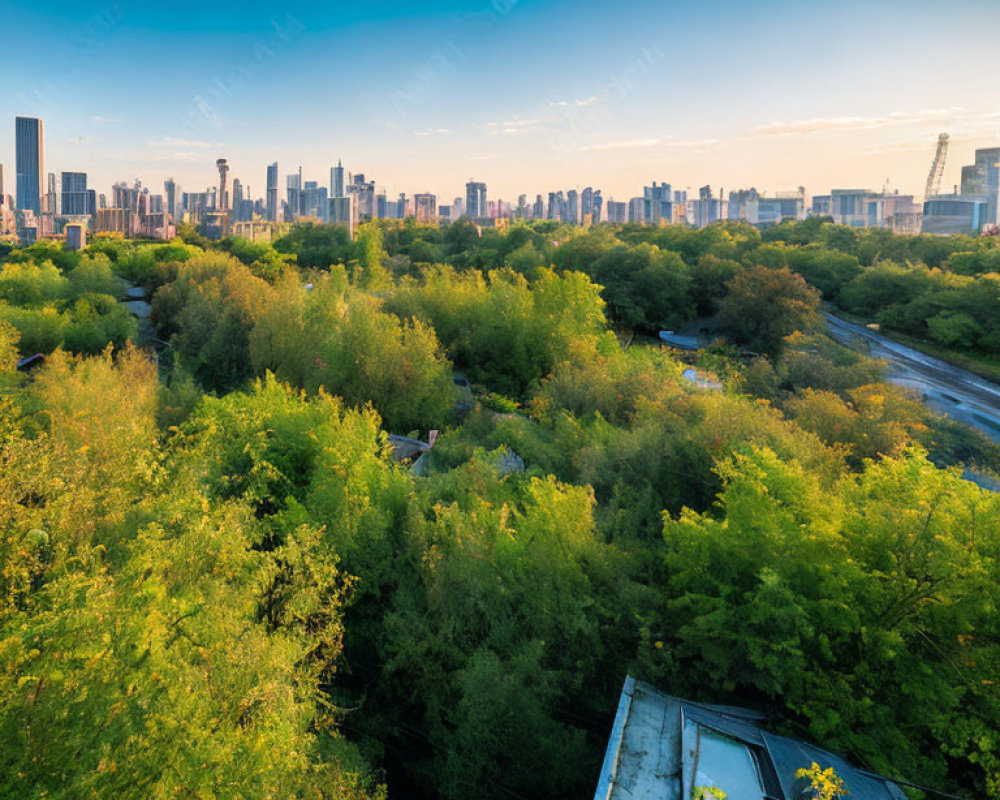 City skyline and green park against sunset sky