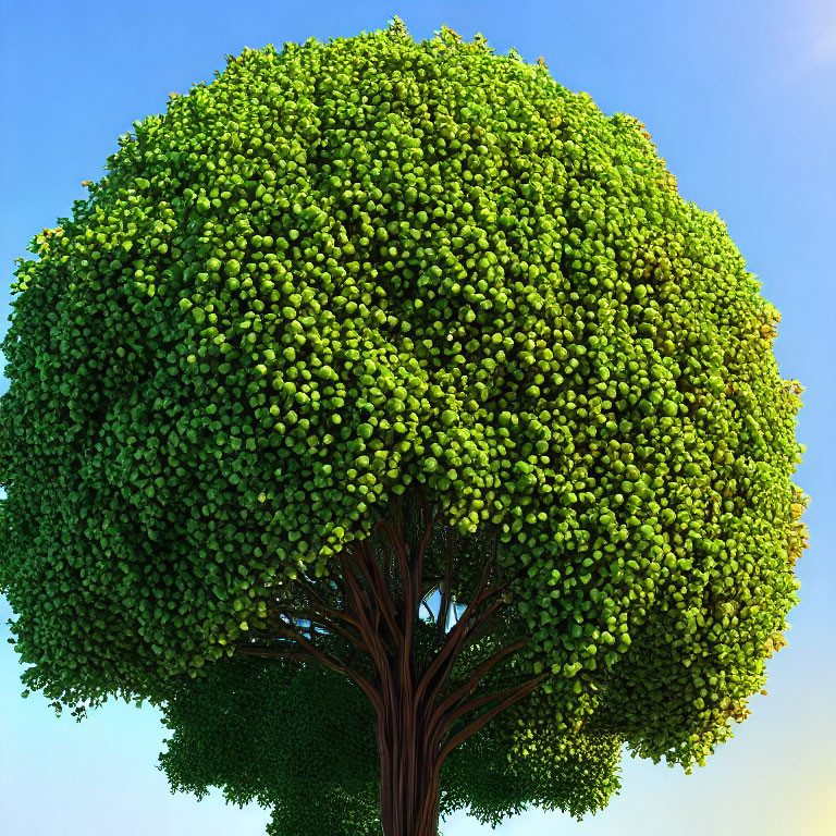 Vibrant green tree with dense canopy and brown trunk under clear blue sky