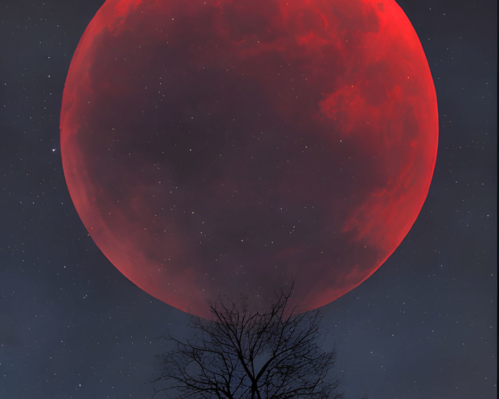 Person gazes at massive red moon under tree on hill