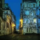 Fantastical nighttime scene with ornate house and glowing blue trees