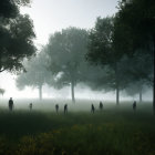 Misty meadow scene with lone figure and towering trees