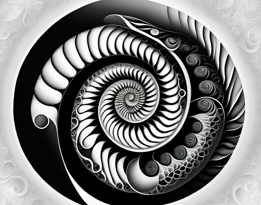 Monochromatic fractal spiral patterns resembling a nautilus shell