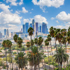 City skyline with skyscrapers, palm trees, and waterfront promenade