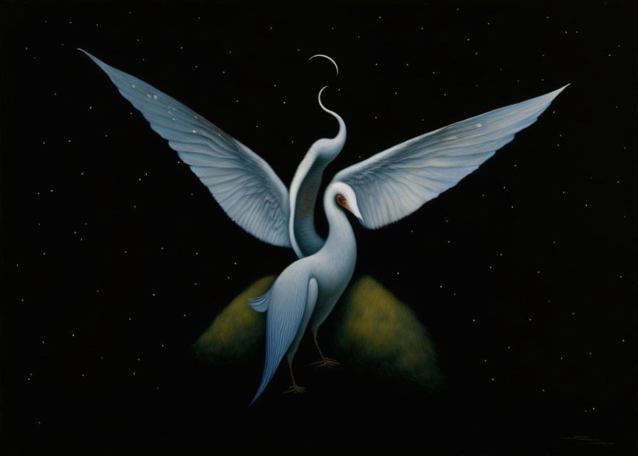 Graceful white birds form heart shape under starry sky