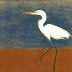 White egret with orange beak on one leg in nature scene