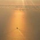 Shimmering golden sea with sailboats under sunlit sky