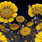 Stylized yellow flowers with intricate gray centers on dark background