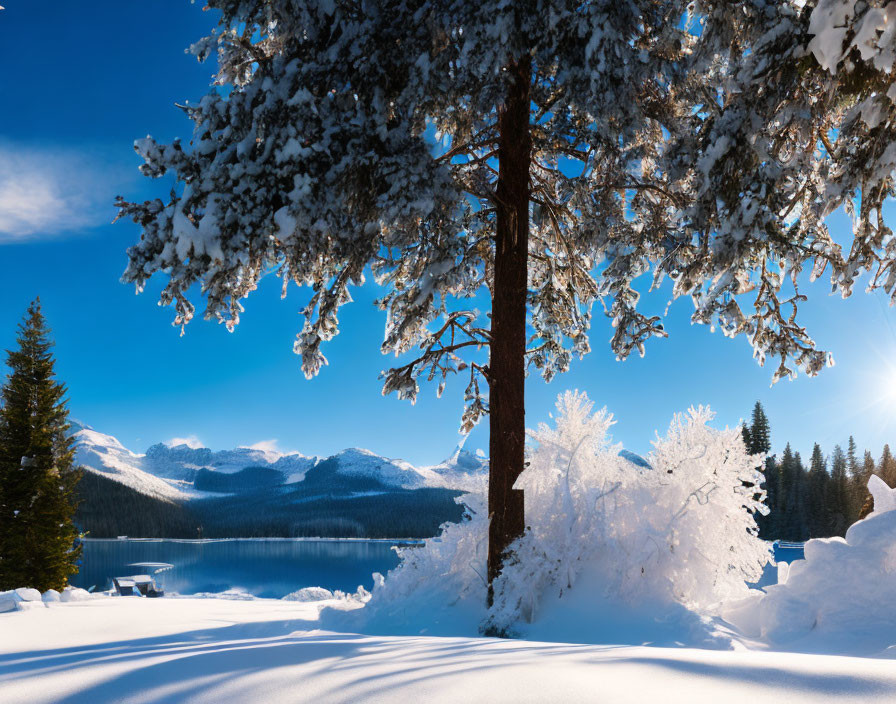 Snowy Winter Landscape with Trees, Lake, and Mountains