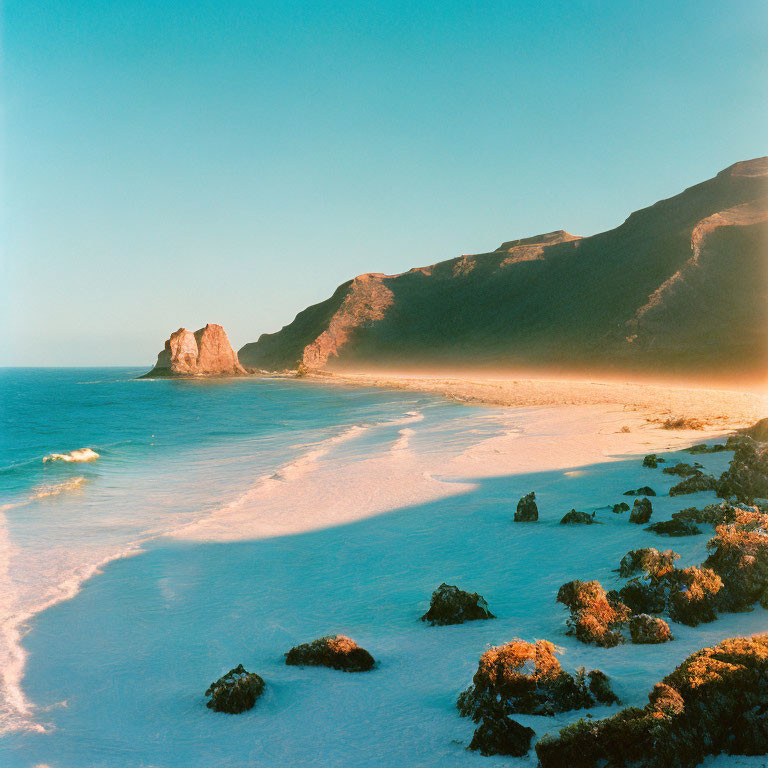 Tranquil beach scene with golden sunlight, gentle sea, rocks, and seaweed