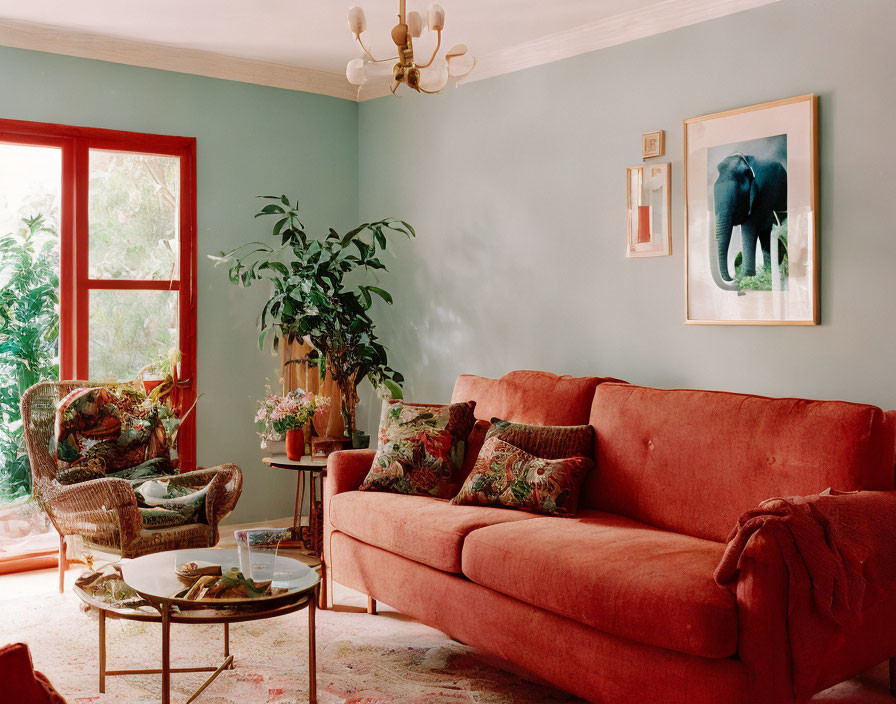 Red sofa, patterned armchairs, glass coffee table in cozy living room