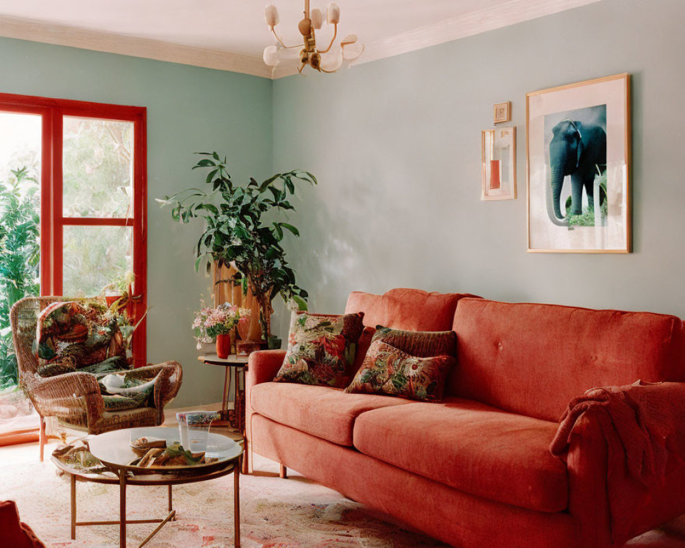 Red sofa, patterned armchairs, glass coffee table in cozy living room