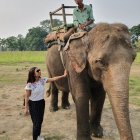 Elegant woman with decorated elephant in festive setting