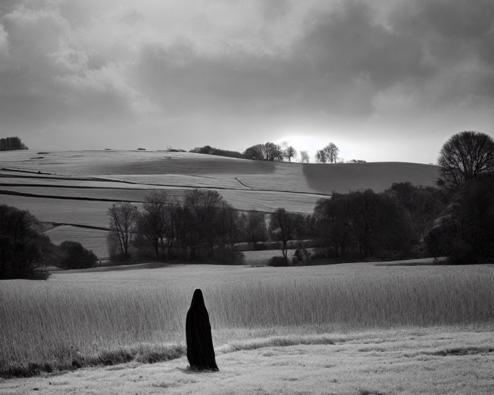 Monochrome photo of cloaked figure in open field with rolling hills and sunlight