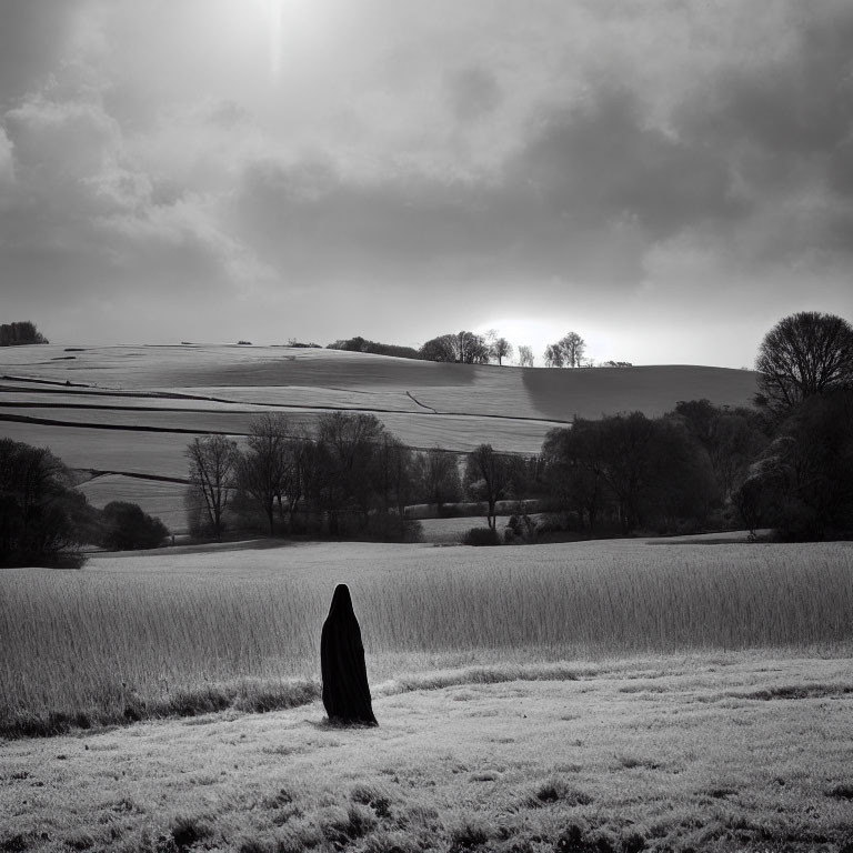 Monochrome photo of cloaked figure in open field with rolling hills and sunlight