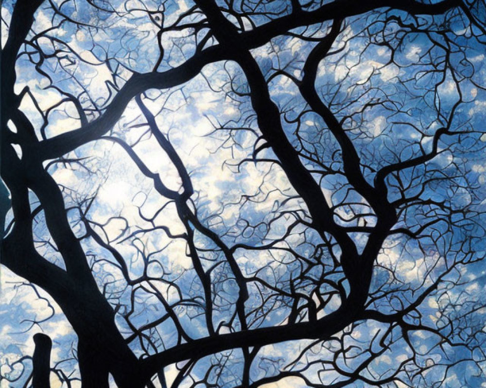Twisted tree branches silhouetted against starry night sky