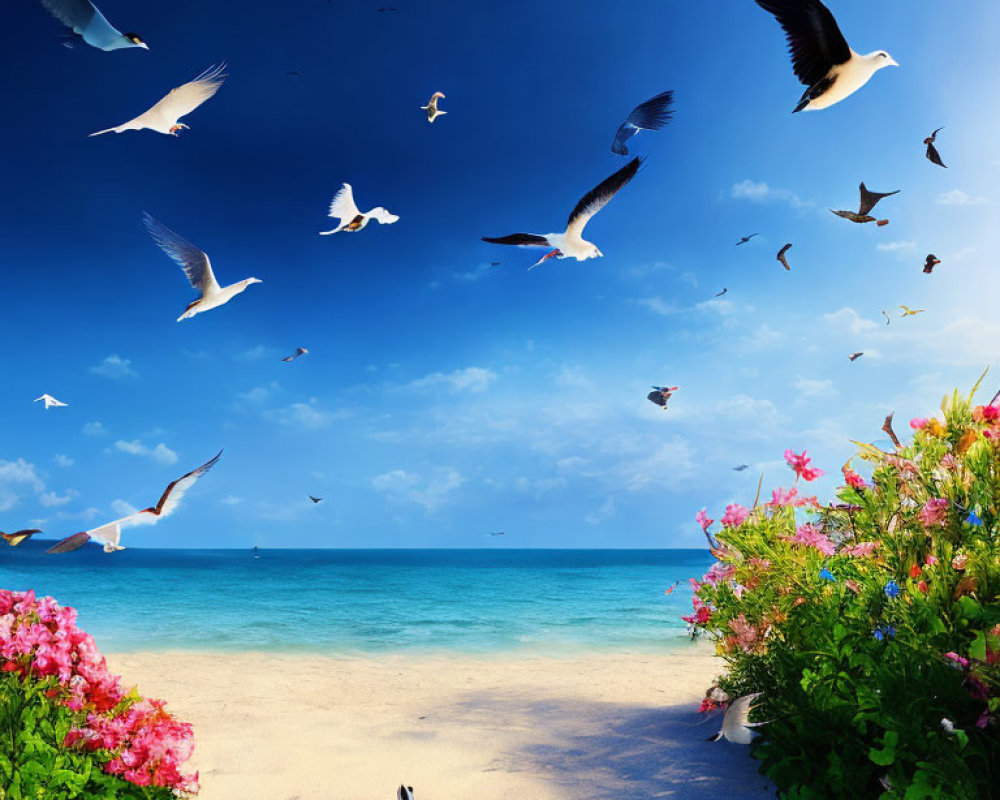 Scenic beach view with blue sky, white sand, flowers, and seagulls