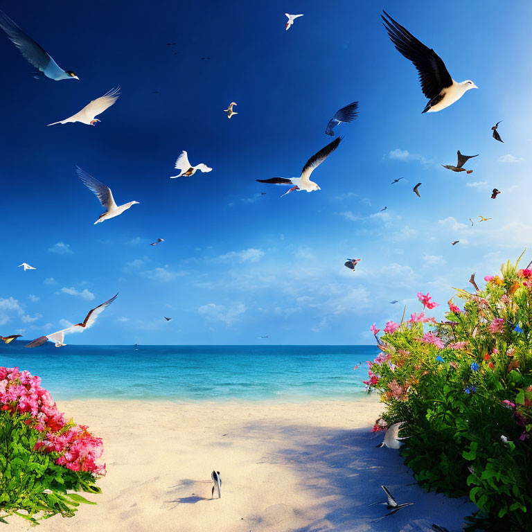 Scenic beach view with blue sky, white sand, flowers, and seagulls