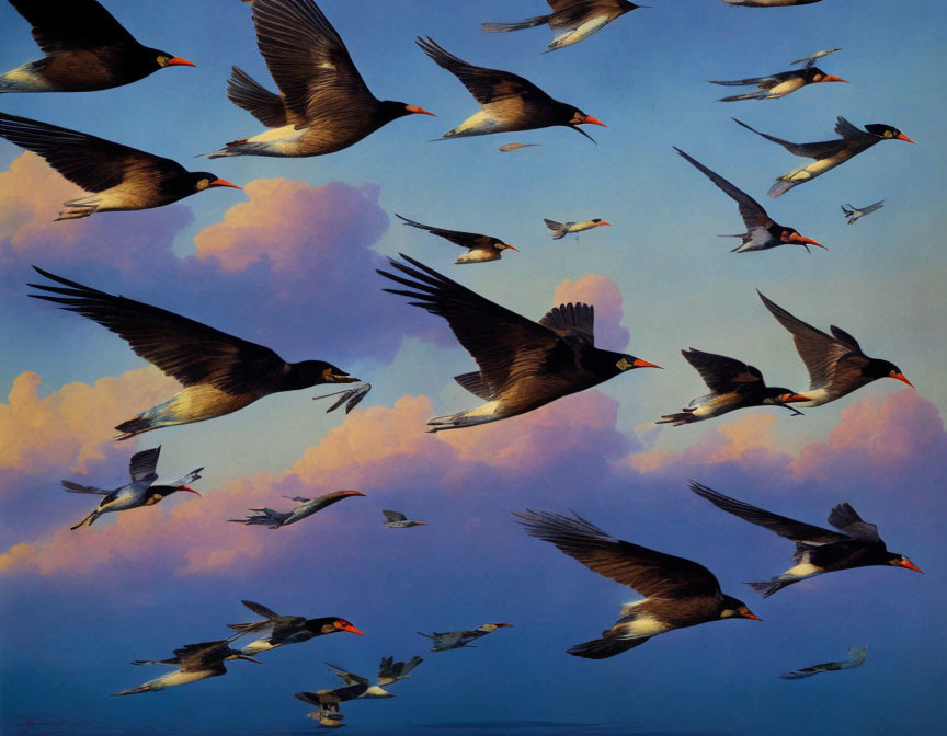 Dark-winged birds with orange beaks in twilight sky with soft clouds