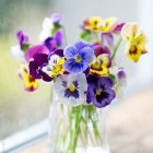 Purple and Yellow Pansies in Clear Glass Vase with Floral Patterned White Fabric