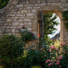 Stone wall with arched doorway and lush green plants in serene setting