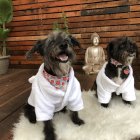 Two dogs with ornate collars near samurai and Buddha statues against wooden wall.