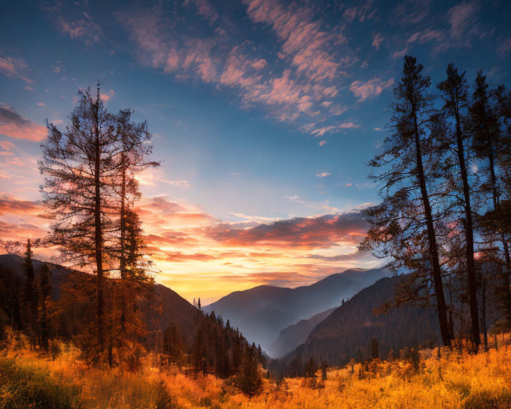 Mountain valley sunset: golden meadow, pine tree silhouettes, dramatic sky