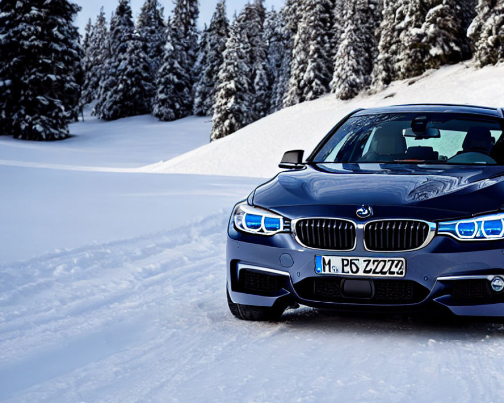 Blue BMW Car Parked in Snowy Landscape with Pine Trees and Clear Sky