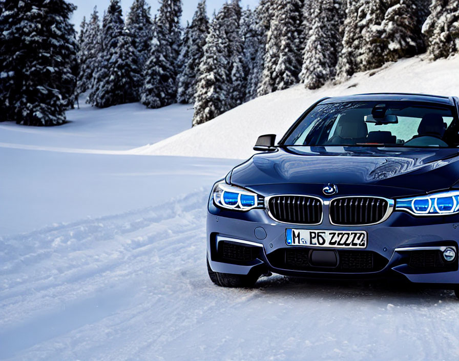 Blue BMW Car Parked in Snowy Landscape with Pine Trees and Clear Sky