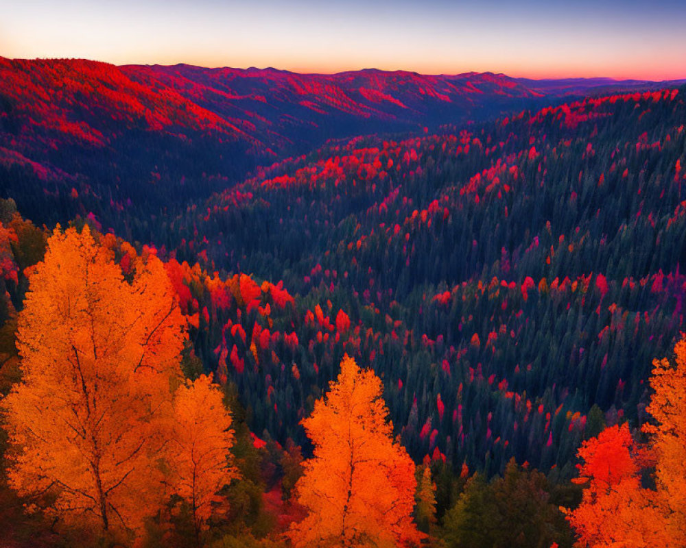 Scenic Autumn Forest with Red and Orange Foliage at Dusk