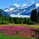 Colorful Flowers, Winding Path, Serene Lake, Snowy Mountains: A Vibrant Landscape