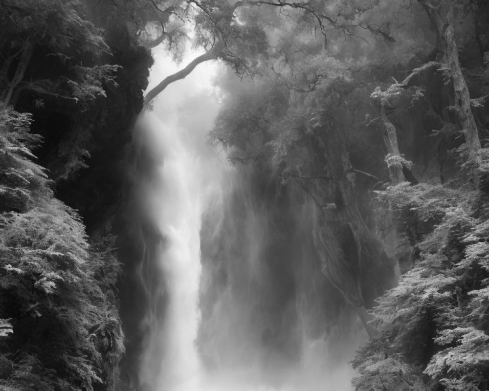 Monochrome photo of misty waterfall in forest fog