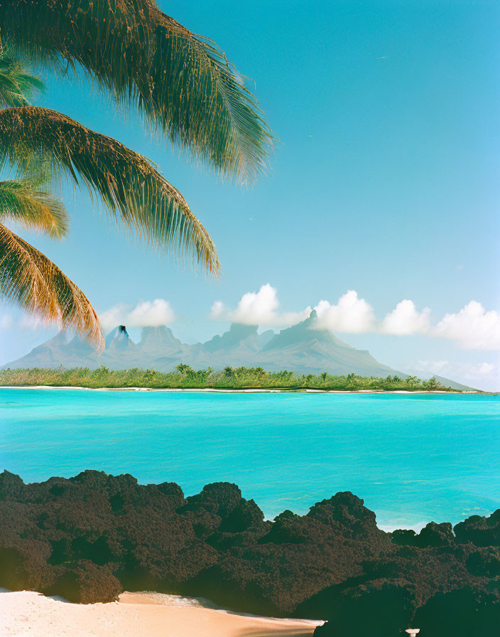 Tropical Beach Scene with Palm Fronds, Volcanic Mountains, and Blue Sky