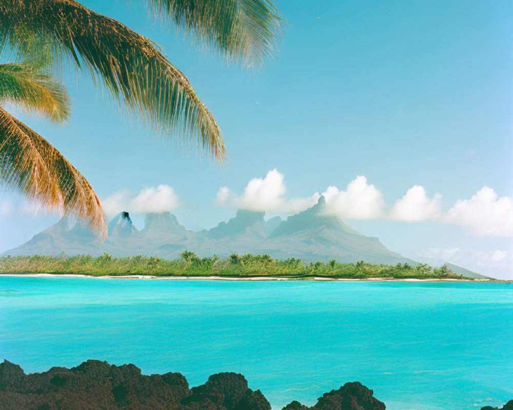 Tropical Beach Scene with Palm Fronds, Volcanic Mountains, and Blue Sky