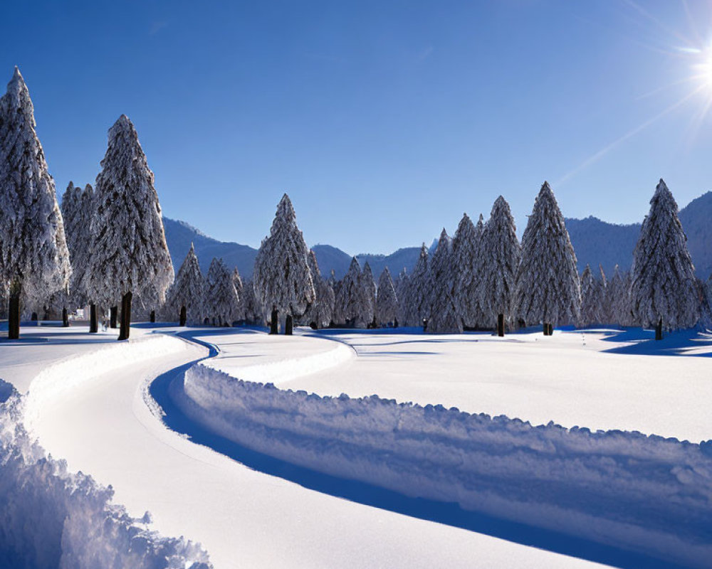 Winter scene with snowy landscape, winding path, frosted trees, blue sky, and sunlight