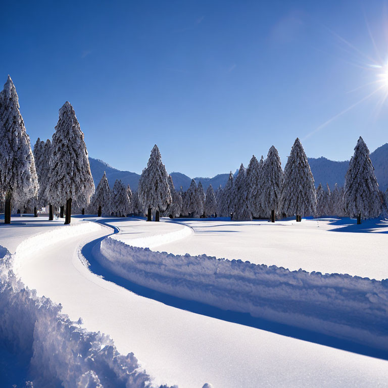 Winter scene with snowy landscape, winding path, frosted trees, blue sky, and sunlight