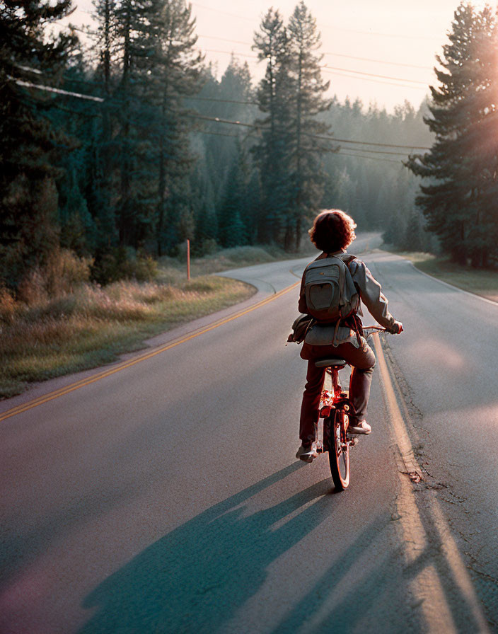 Cyclist on Sunlit Road with Long Shadow amid Trees at Sunset or Sunrise