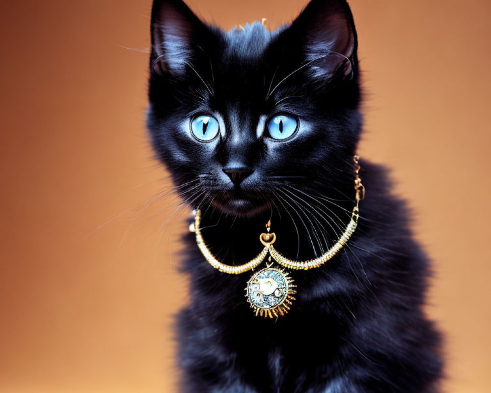 Black Cat with Blue Eyes Wearing Gold Necklace on Warm Background