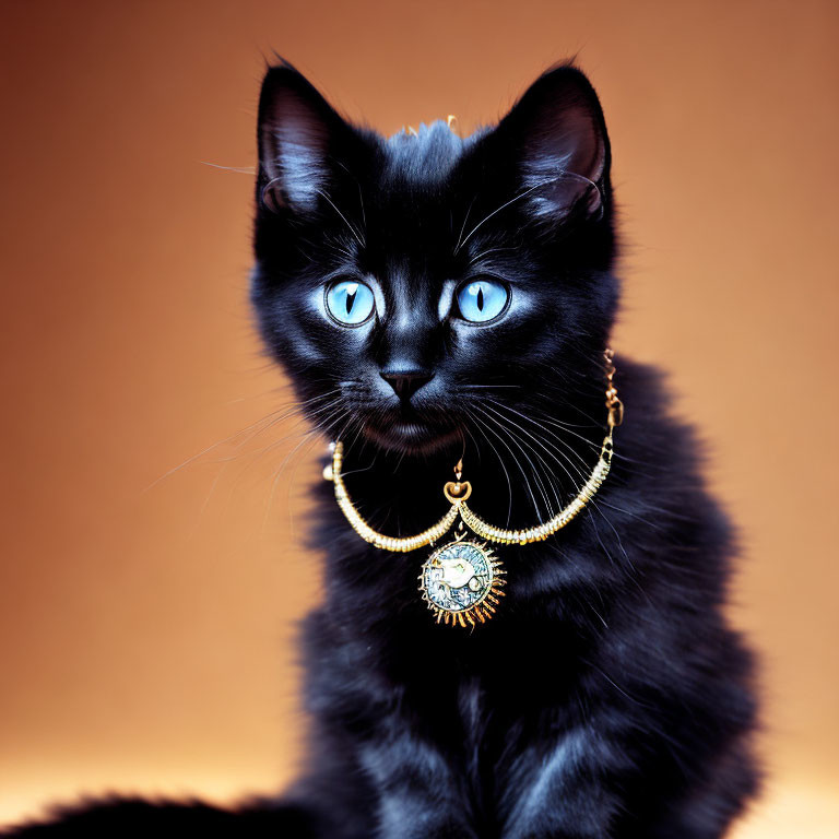 Black Cat with Blue Eyes Wearing Gold Necklace on Warm Background