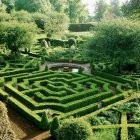 Lush Green Hedge Labyrinth with Whimsical Mushrooms