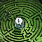 Circular Hedge Maze with Greenery and Tree Clearing